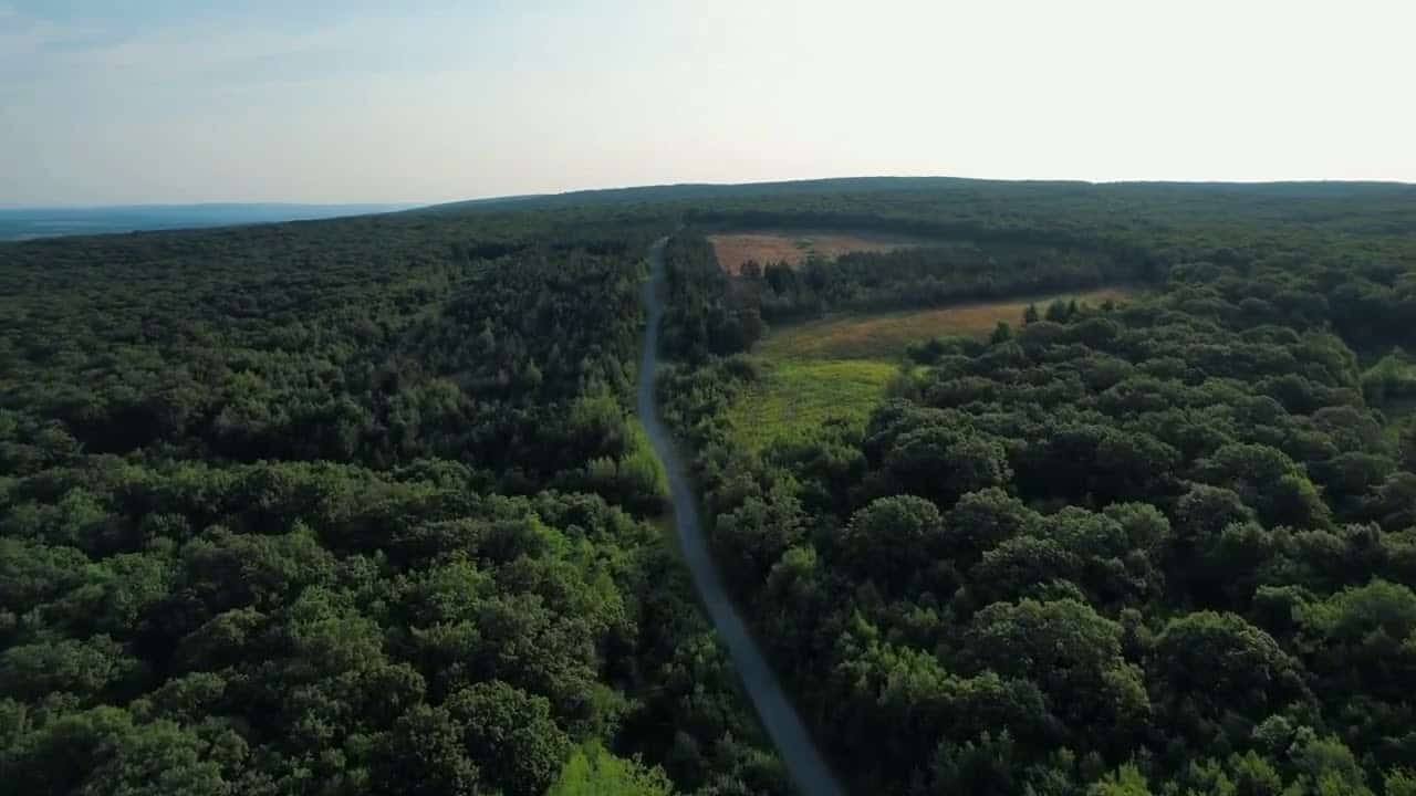 Camp Hill Financial Advisor HarrisburgCarlisle Wealth Managers JFS