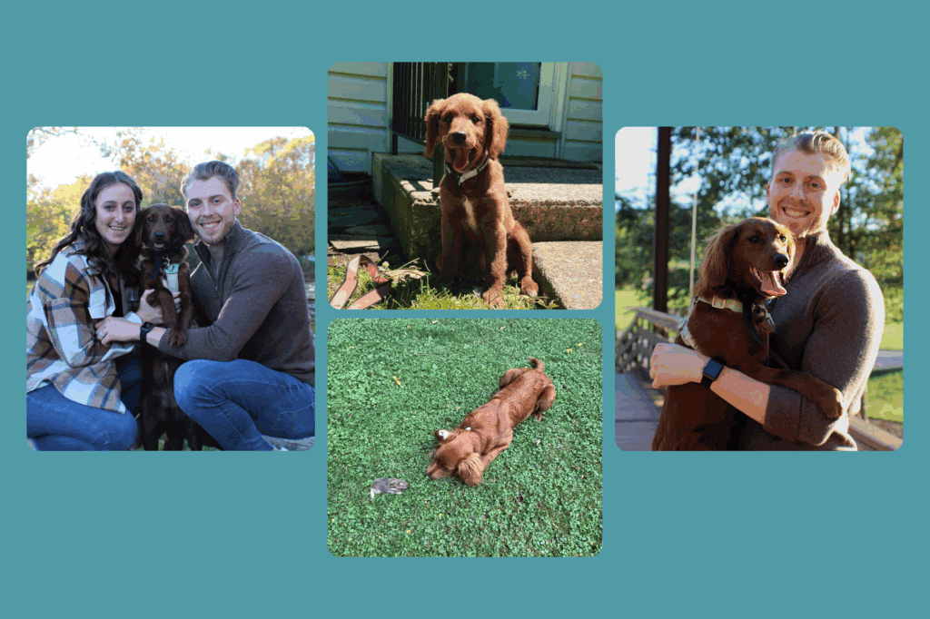 Why Make a Financial Plan